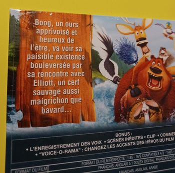 DVD les rebelles de la forêt