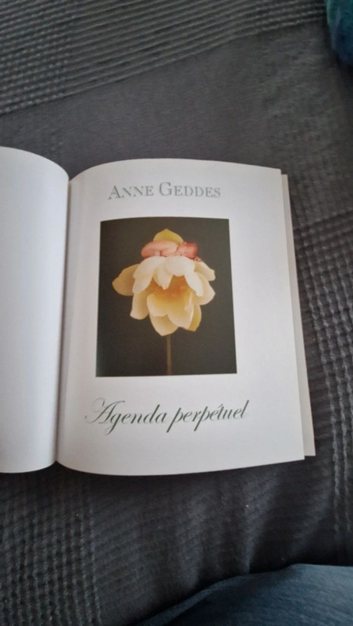 Agenda perpétuel anne geddes - photo numéro 4