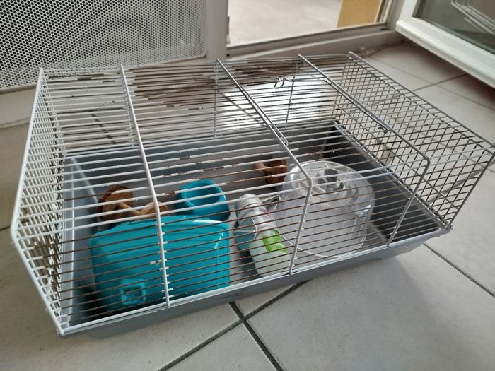 Cage à hamster taille 30x45 cm - photo numéro 6