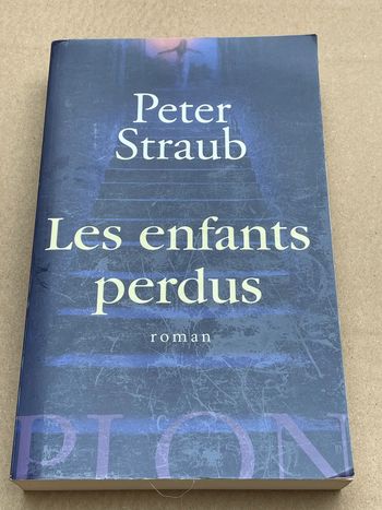 Les Enfants Perdus - Peter Straub