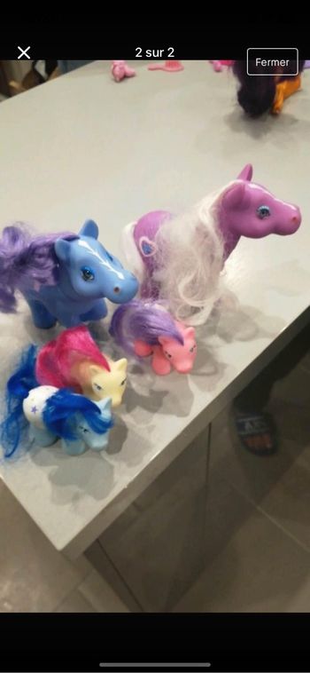 Poney