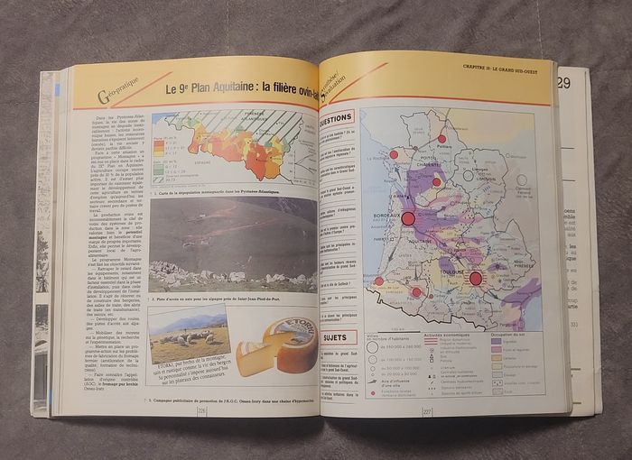 Géographie 1re - Nouveau programme paru en 1988 Jean-Robert Pitte - photo numéro 5