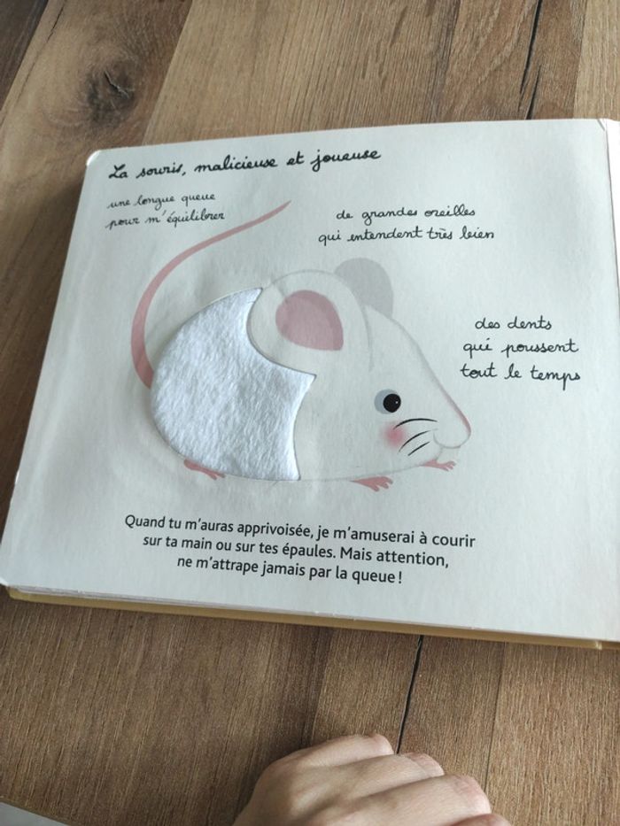 Livre : Mes animaux familiers à toucher - photo numéro 17