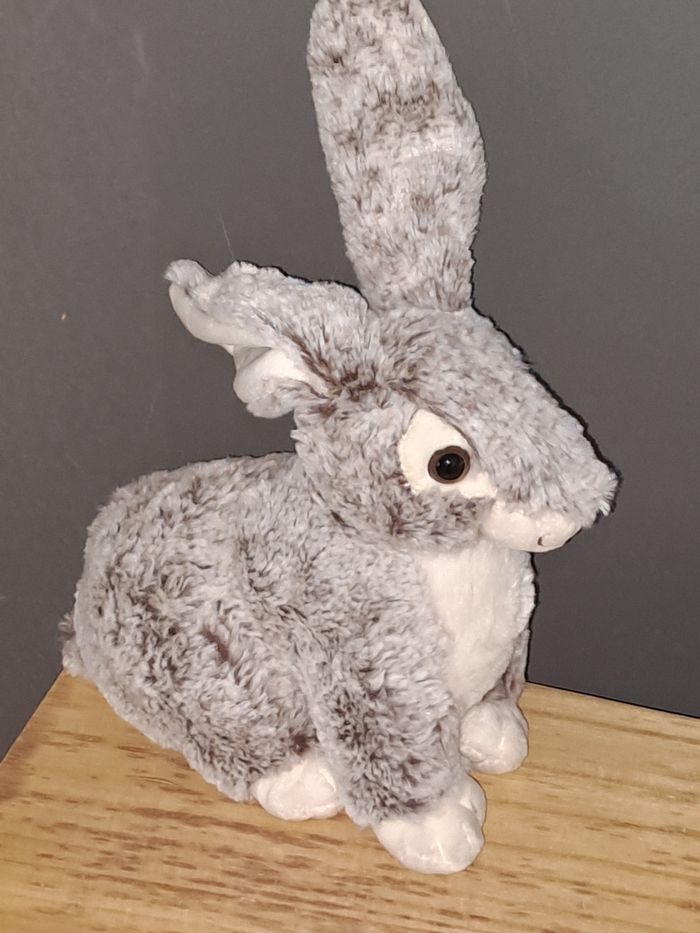 Lapin tout doux - photo numéro 2