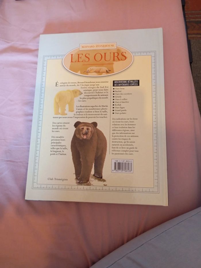 Les ours Bernard stonehouse - photo numéro 2