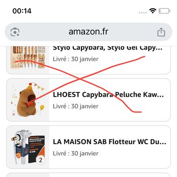 2 Flotteurs pour chasse d’eau neufs