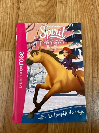 Livre Spirit