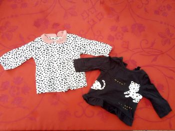 Lot de 2 jolis tee-shirts 3 mois