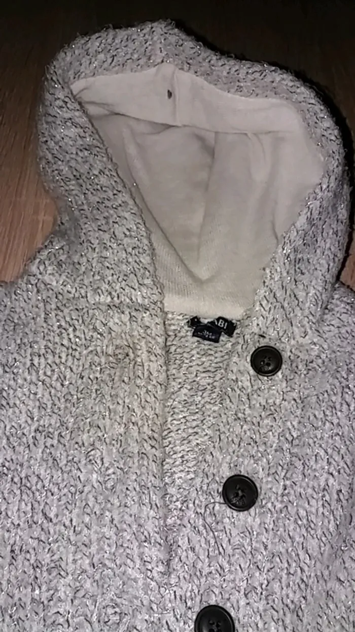 Gilet à capuche pailletté 3 mois - photo numéro 3