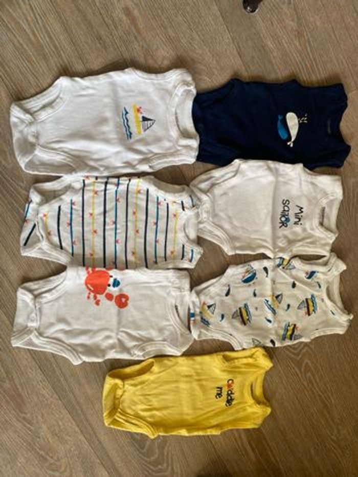 1m | 7 bodies marcel