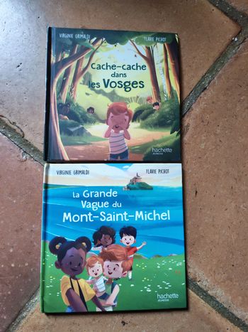 Llot de 2 petits livres de Virginie Grimaldie et Flavie Pichot pour enfants