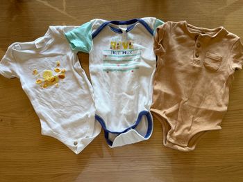 Lot 3 bodies