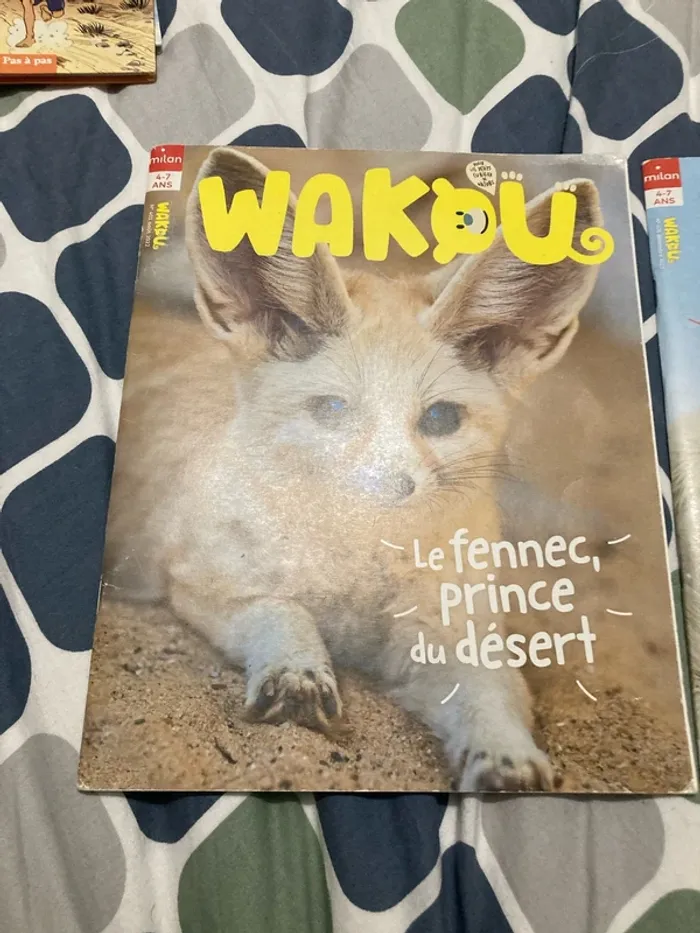 Lot 3 livres wakou - photo numéro 2