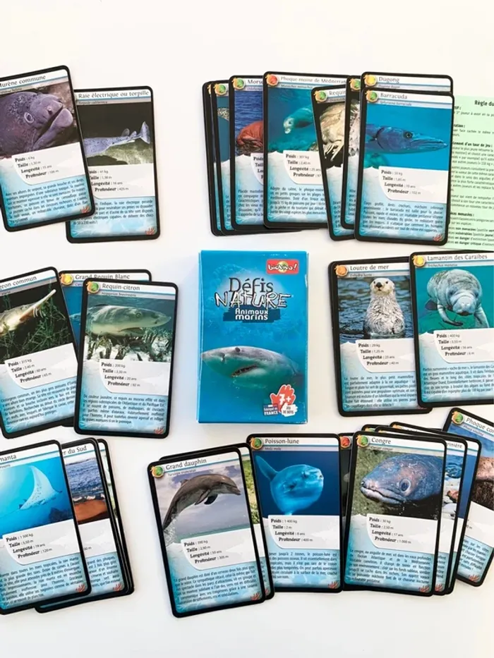 Jeu défis nature - Animaux marins - photo numéro 2