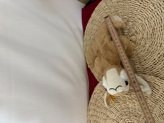 Steiff - Peluche - Petit Floppy de Lapin Hoppel - Brun Clair - photo numéro 3