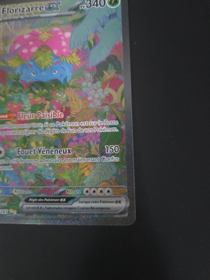 Florizarre ex - photo numéro 5