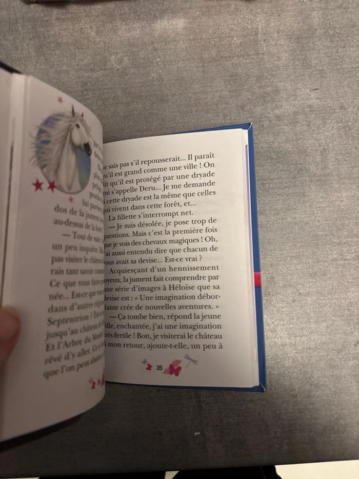 Livre la bibliothèque, Rose Bella Sarah, Laforêt, magique d’Héloïse - photo numéro 2