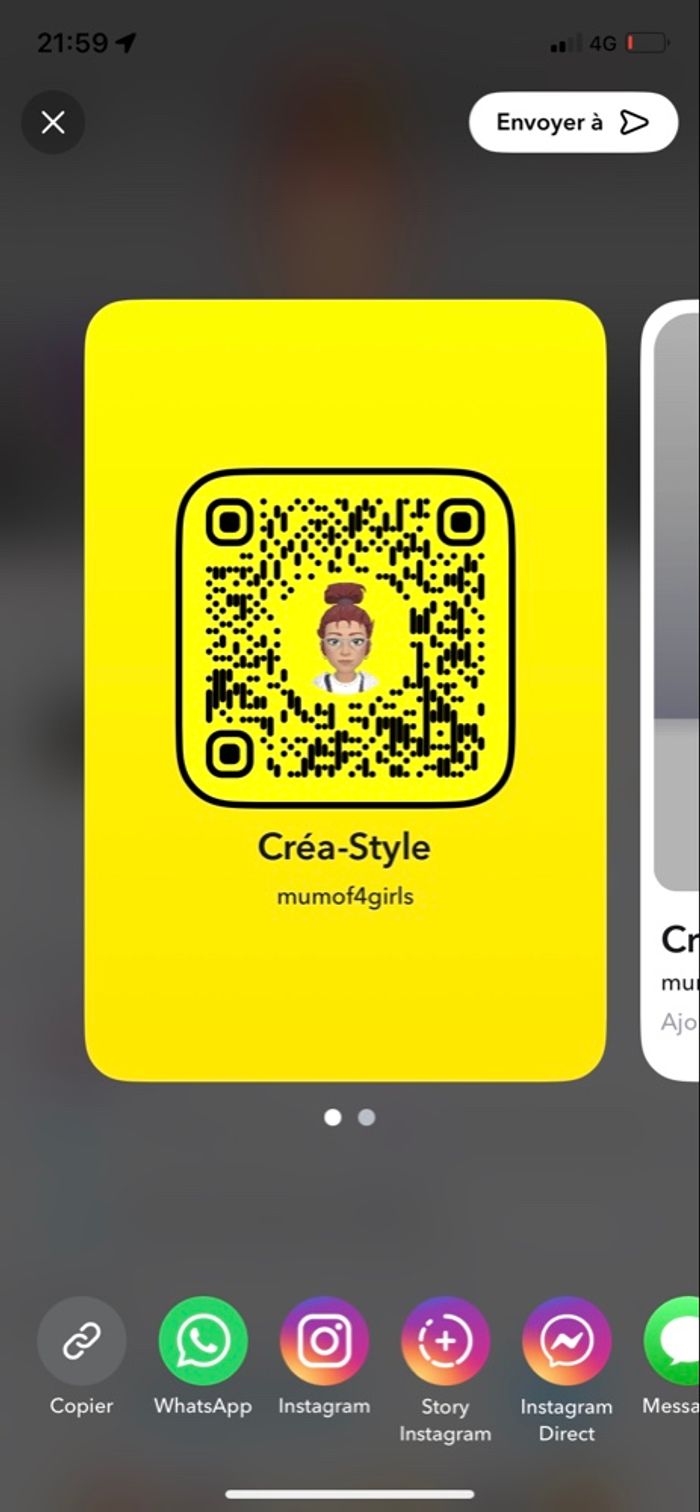 Barrette cheveux - photo numéro 2