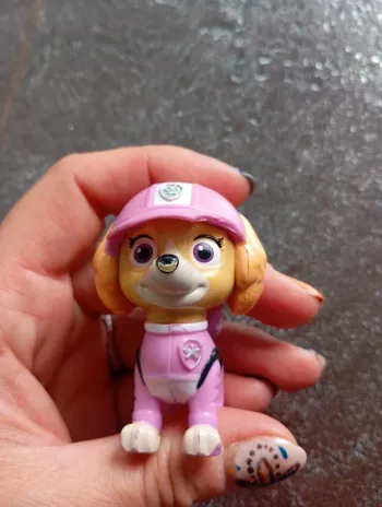 Paw Patrol stella
