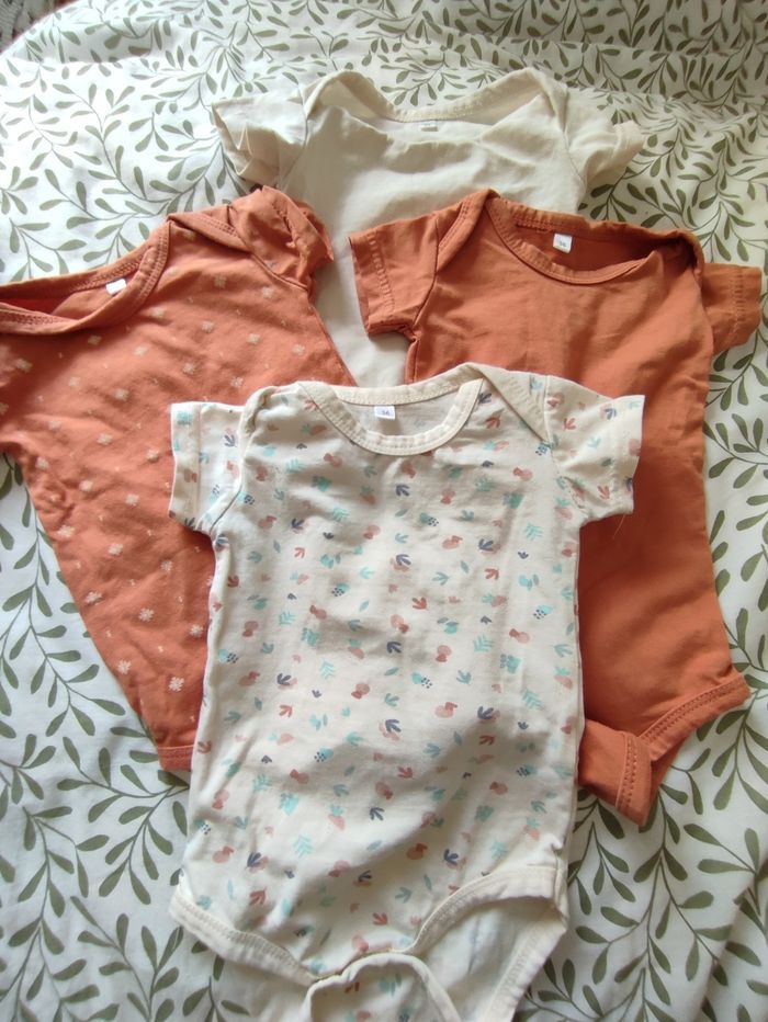 Lot bodys 3 mois - photo numéro 1