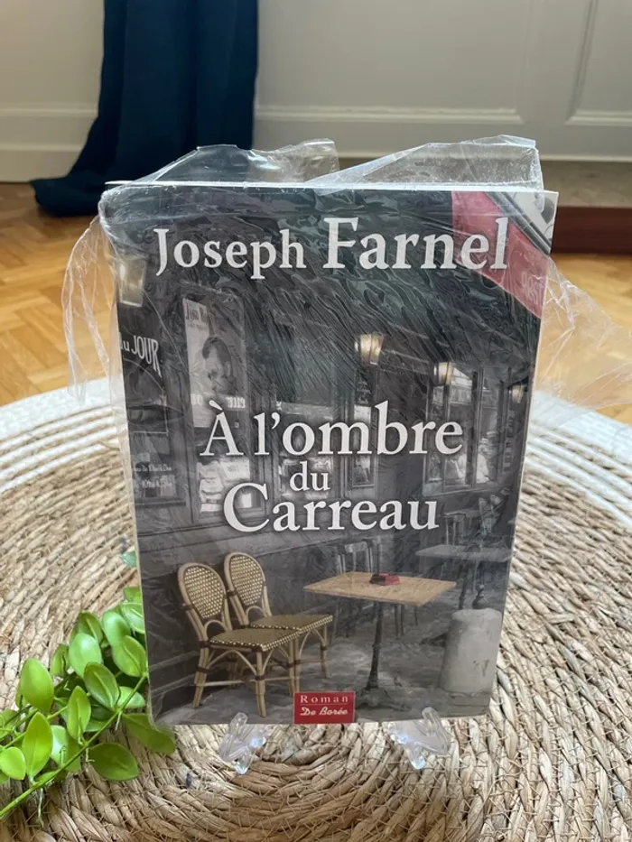 Livre - à l’ombre du carreau