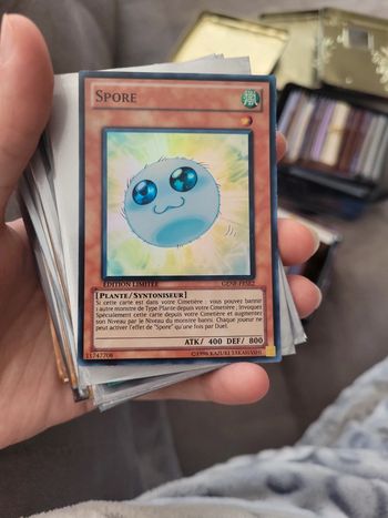 Carte spore