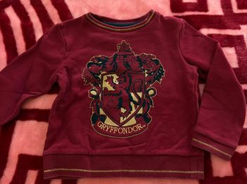 Pull Harry Potter
