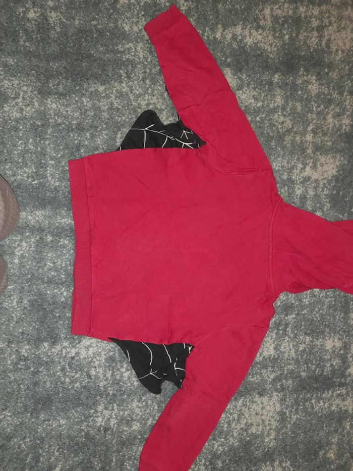 Lot pull monstre halloween jumeaux - photo numéro 5