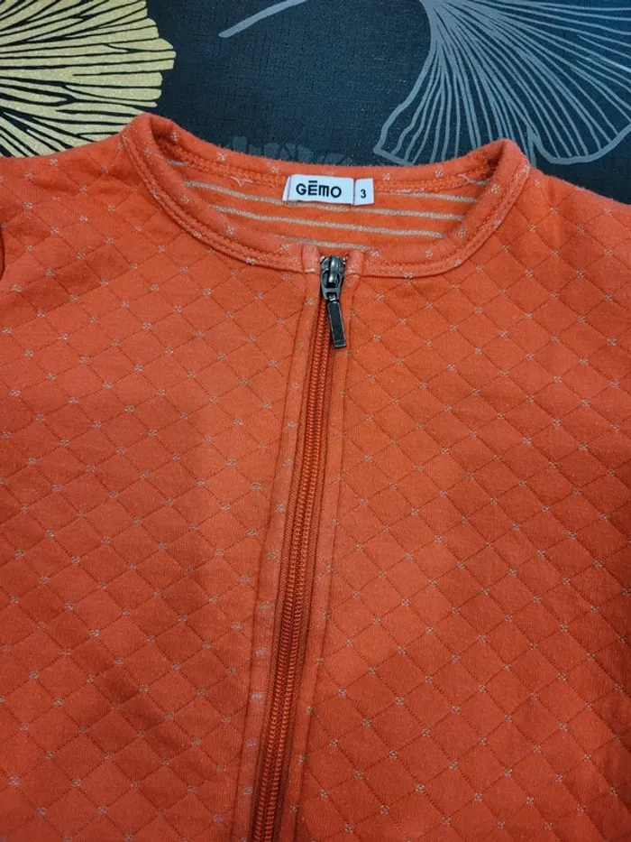 Gilet gémo 3 ans - photo numéro 2