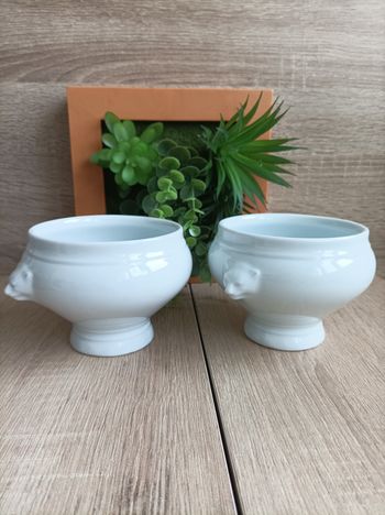 Lot 2 porcelaines blanches