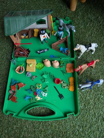 Lot ranch playmobil avec malette