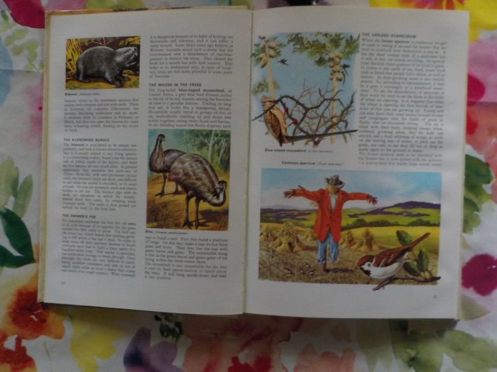 Builders and breakers of the animal world Animal world in colour M. Burton - photo numéro 6