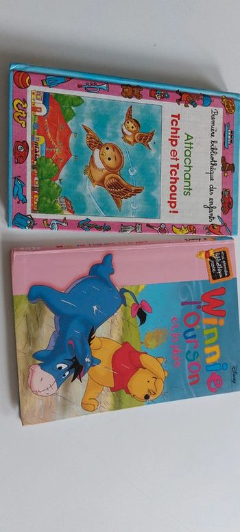 Lot de 2 livres de la bibliothèque rose