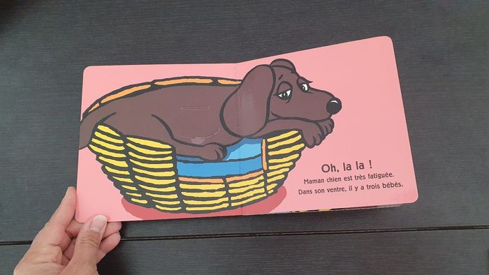 Coucou petit chien - photo numéro 2