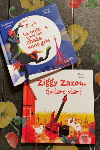Livre papier