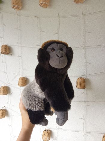 Peluche singe Anima