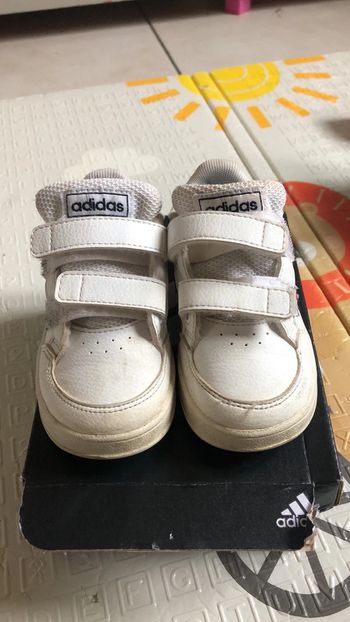 Basket adidas 23