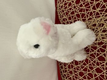 Peluche lapin GIPSY