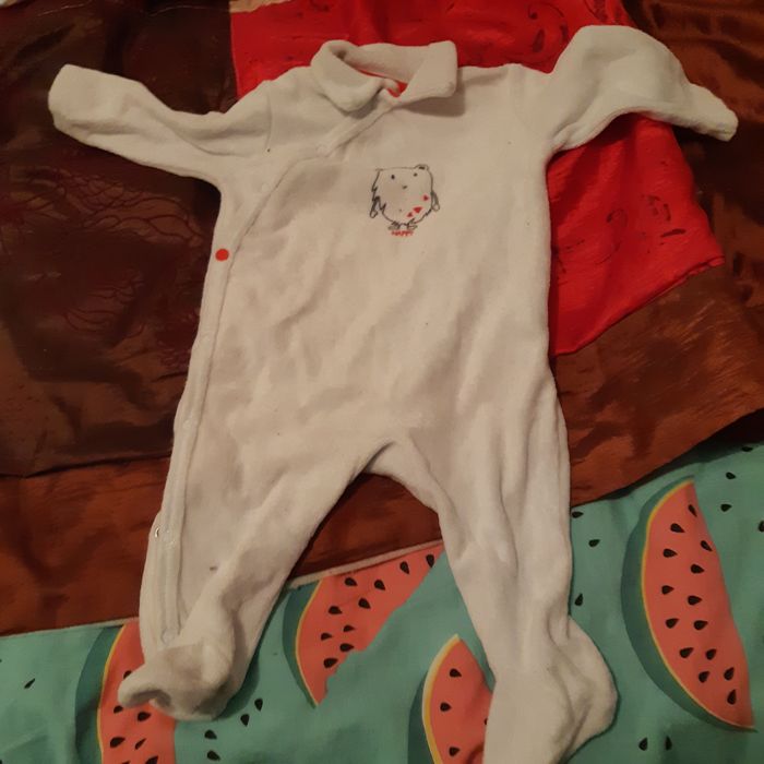 Lot - photo numéro 6