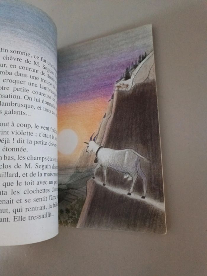 La chèvre de Monsieur Seguin Alphonse Daudet castor poche cadet - photo numéro 4