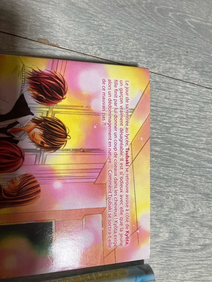 Tsubaki love - photo numéro 4