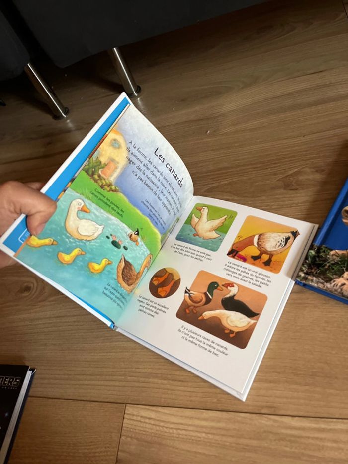 Lot livre animaux - photo numéro 2