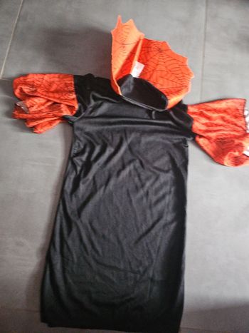 Robe sorciere