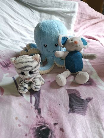Peluches 