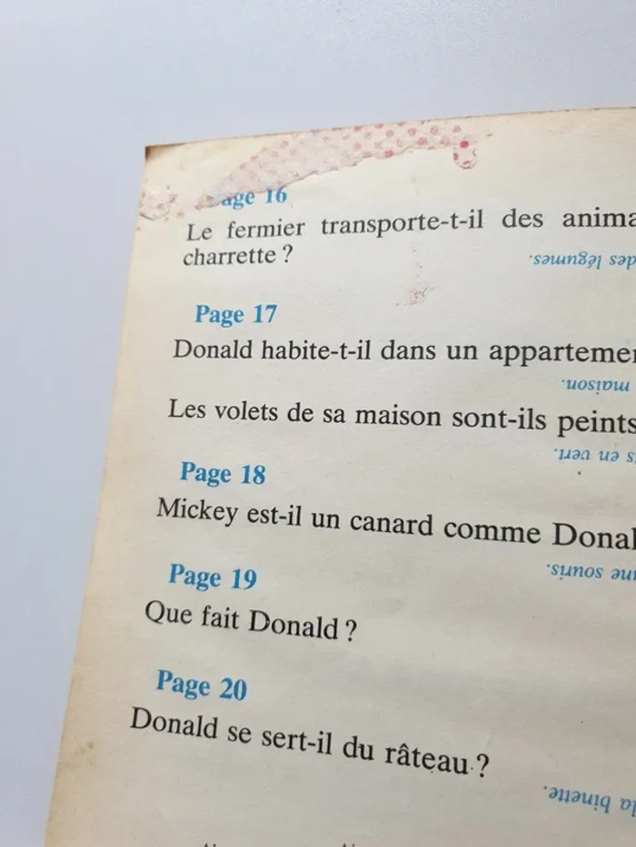 Gentil Coquelicot - Donald le canard - photo numéro 7