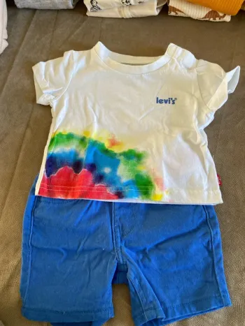 Ensemble Levis