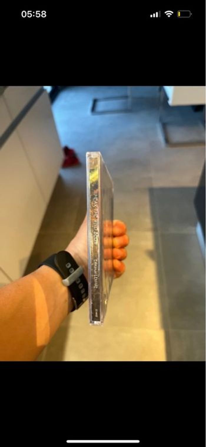 Cd Emmanuel Lemare Hear the wind blow - photo numéro 4