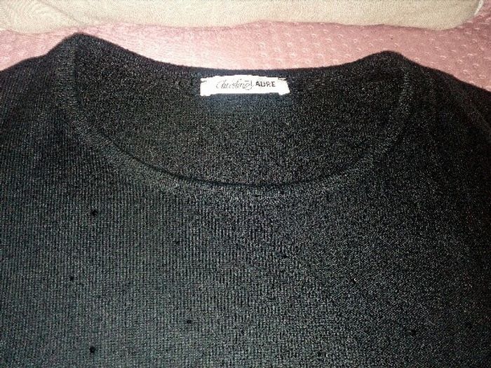 Pull chauve souris Christine laure. - photo numéro 2