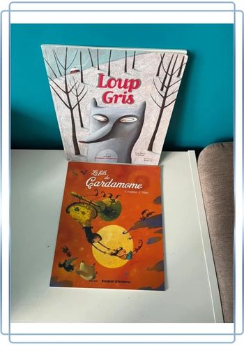 2 livres bouquet d’histoires de Milan