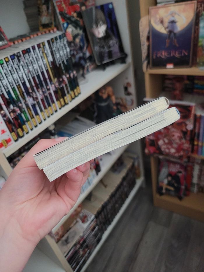 Manga my elder sister tomes 1 et 2 - photo numéro 6